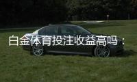 白金体育投注收益高吗：经验分享