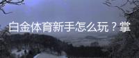 白金体育新手怎么玩？掌握技巧游刃有余