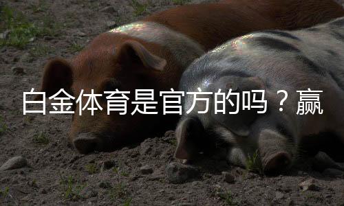 白金体育是官方的吗?赢取丰厚回报