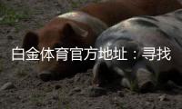 白金体育官方地址：寻找最佳投注体验