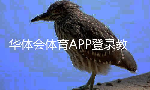华体会体育APP登录教程：快速下载、注册与常见问题全解