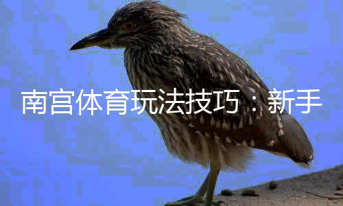 南宫体育玩法技巧:新手必看攻略与实战赢钱策略