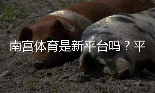 南宫体育是新平台吗?平台背景、可靠性与新手指南全解析