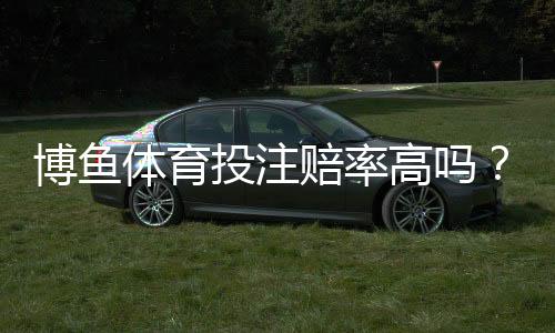 博鱼体育投注赔率高吗?真实赔率对比、优势风险与提高盈利技巧