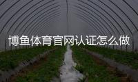 博鱼体育官网认证怎么做？新手快速完成实名认证与常见问题解析