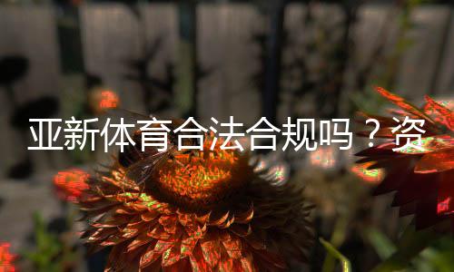 亚新体育合法合规吗?资质审核、监管状况与用户风险全面解析