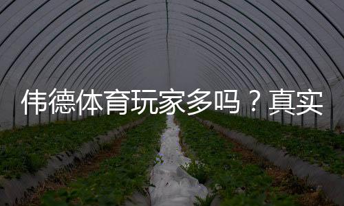 伟德体育玩家多吗?真实玩家数量与活跃度深度揭秘