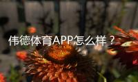 伟德体育APP怎么样？2026最新版功能、玩法与安全性全方位评测