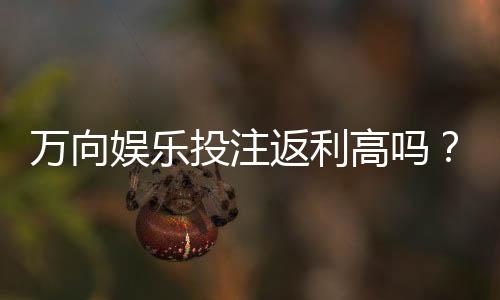 万向娱乐投注返利高吗?揭秘高返利平台的真实玩法与技巧