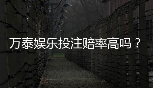万泰娱乐投注赔率高吗?资深玩家揭秘真实回报率与技巧