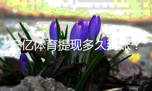 三亿体育提现多久到账?到账时间、延迟原因与加速技巧全解析