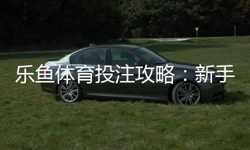 乐鱼体育投注攻略:新手入门、注册充值与实战投注技巧全解析