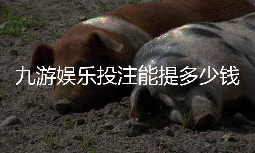 九游娱乐投注能提多少钱?提现上限、手续费与到账时间详解