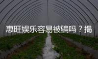惠旺娱乐容易被骗吗？揭秘其安全性及防骗指南