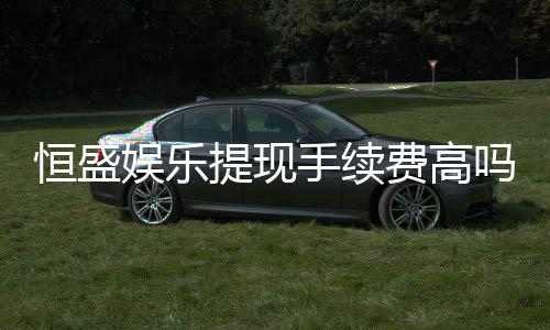 恒盛娱乐提现手续费高吗?资深玩家解析费用详情与应对技巧