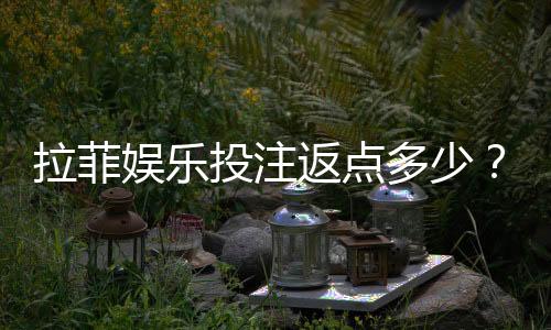 拉菲娱乐投注返点多少?高返水福利与实战技巧解析