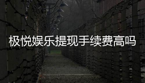 极悦娱乐提现手续费高吗?解析费用标准与优惠技巧