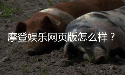 摩登娱乐网页版怎么样?资深玩家真实体验分享
