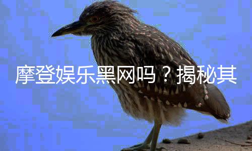 摩登娱乐黑网吗?揭秘其安全性及玩家真实体验