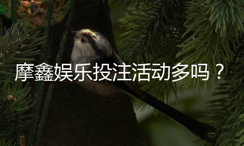 摩鑫娱乐投注活动多吗?揭秘平台特色优惠与玩家真实体验