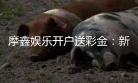 摩鑫娱乐开户送彩金：新会员专享彩金豪礼轻松开启赢利之旅