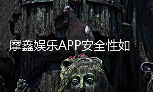 摩鑫娱乐APP安全性如何?深度评测其资金保障与数据防护