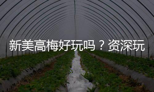 新美高梅好玩吗?资深玩家带你揭秘真实体验与赢钱技巧
