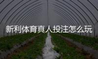 新利体育真人投注怎么玩？新手入门、玩法规则与风险提示全面解析
