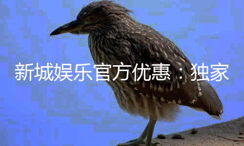 新城娱乐官方优惠:独家福利与高额返水等你来拿