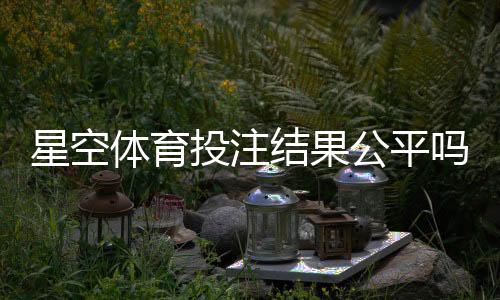 星空体育投注结果公平吗?公正性深度评测与玩家反馈解析