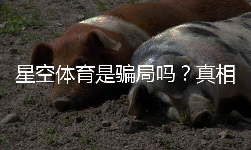 星空体育是骗局吗?真相揭秘与新手防骗攻略