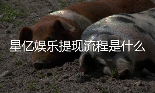 星亿娱乐提现流程是什么?手把手教你快速到账技巧