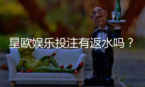星欧娱乐投注有返水吗?揭秘平台返水规则与实战技巧