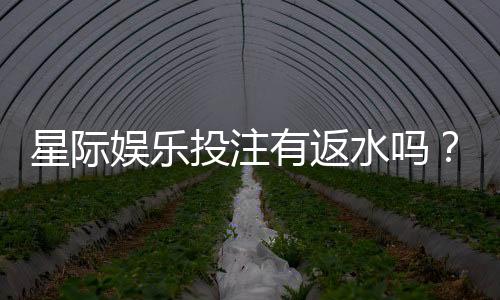 星际娱乐投注有返水吗?揭秘平台返水政策与实战技巧