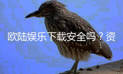 欧陆娱乐下载安全吗?资深玩家解析平台安全性及下载指南