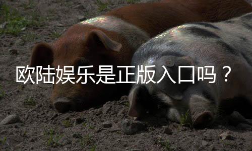 欧陆娱乐是正版入口吗?揭秘平台资质与游戏安全性
