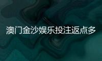 澳门金沙娱乐投注返点多少？揭秘高返水优惠与实战技巧