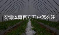 安博体育官方开户怎么注册？官方开户流程、认证步骤与新手注意事项