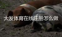 大发体育在线注册怎么做？新手开户步骤、实名认证与安全注意事项详解