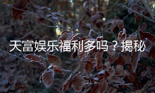 天富娱乐福利多吗?揭秘其丰厚福利与独家优惠活动