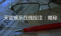 天富娱乐在线投注：揭秘高胜率玩家的投注技巧与实战策略
