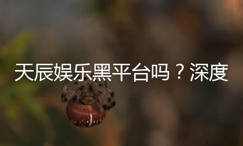 天辰娱乐黑平台吗?深度解析其安全性与玩家真实反馈