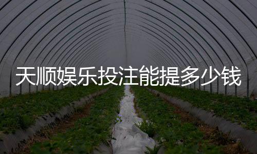 天顺娱乐投注能提多少钱?揭秘提款额度与到账时间