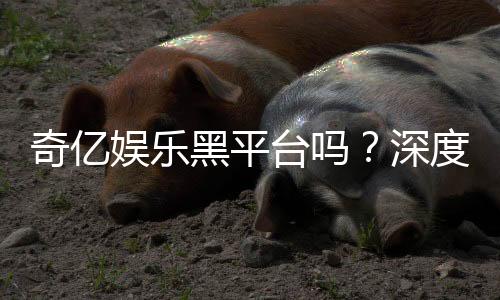 奇亿娱乐黑平台吗？深度解析其真实性与玩家避坑指南