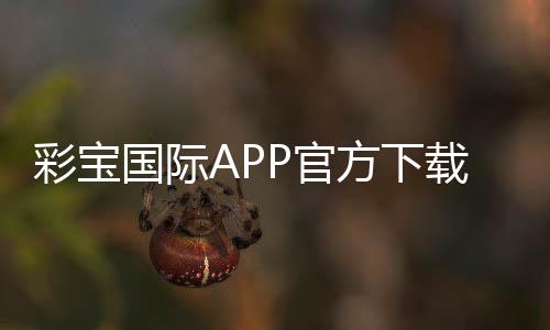 彩宝国际APP官方下载通道