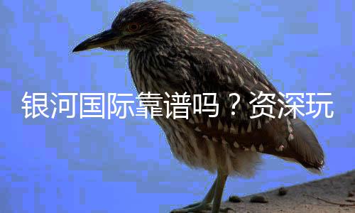 银河国际靠谱吗？资深玩家带你揭秘平台真实体验