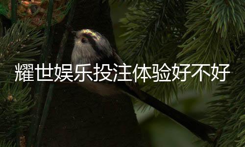 耀世娱乐投注体验好不好?资深玩家亲测真实感受分享
