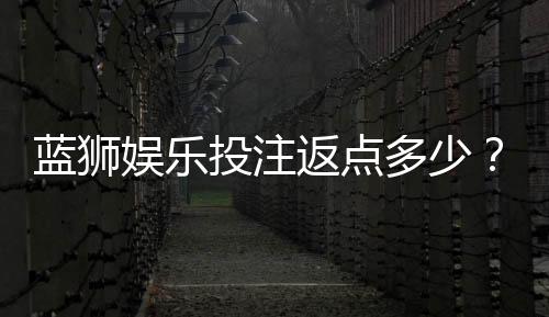 蓝狮娱乐投注返点多少？揭秘高返水比例与实战技巧