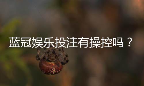 蓝冠娱乐投注有操控吗?深度解析平台公正性与防作弊机制