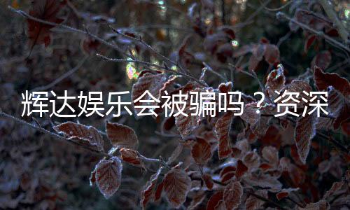 辉达娱乐会被骗吗？资深玩家揭秘防骗技巧与平台安全性